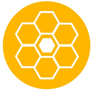 Team Page: The Hive